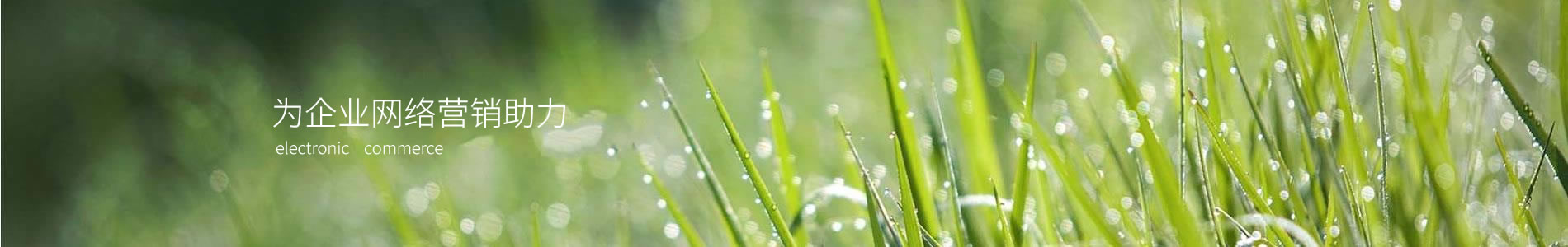 贴Ƽչ޹˾